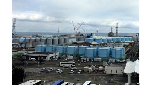 越鬧越大 江蘇鼎味泰與日本開發(fā)核污水產(chǎn)品,山姆 盒馬還能吃