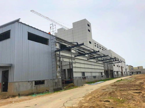 伯納天純 開拓國產(chǎn)寵物食品新藍(lán)海